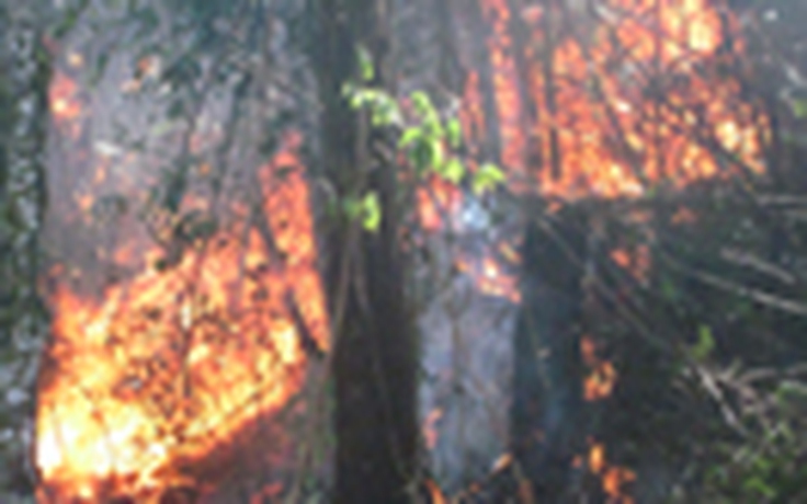 Cận cảnh cháy rừng Hoàng Liên